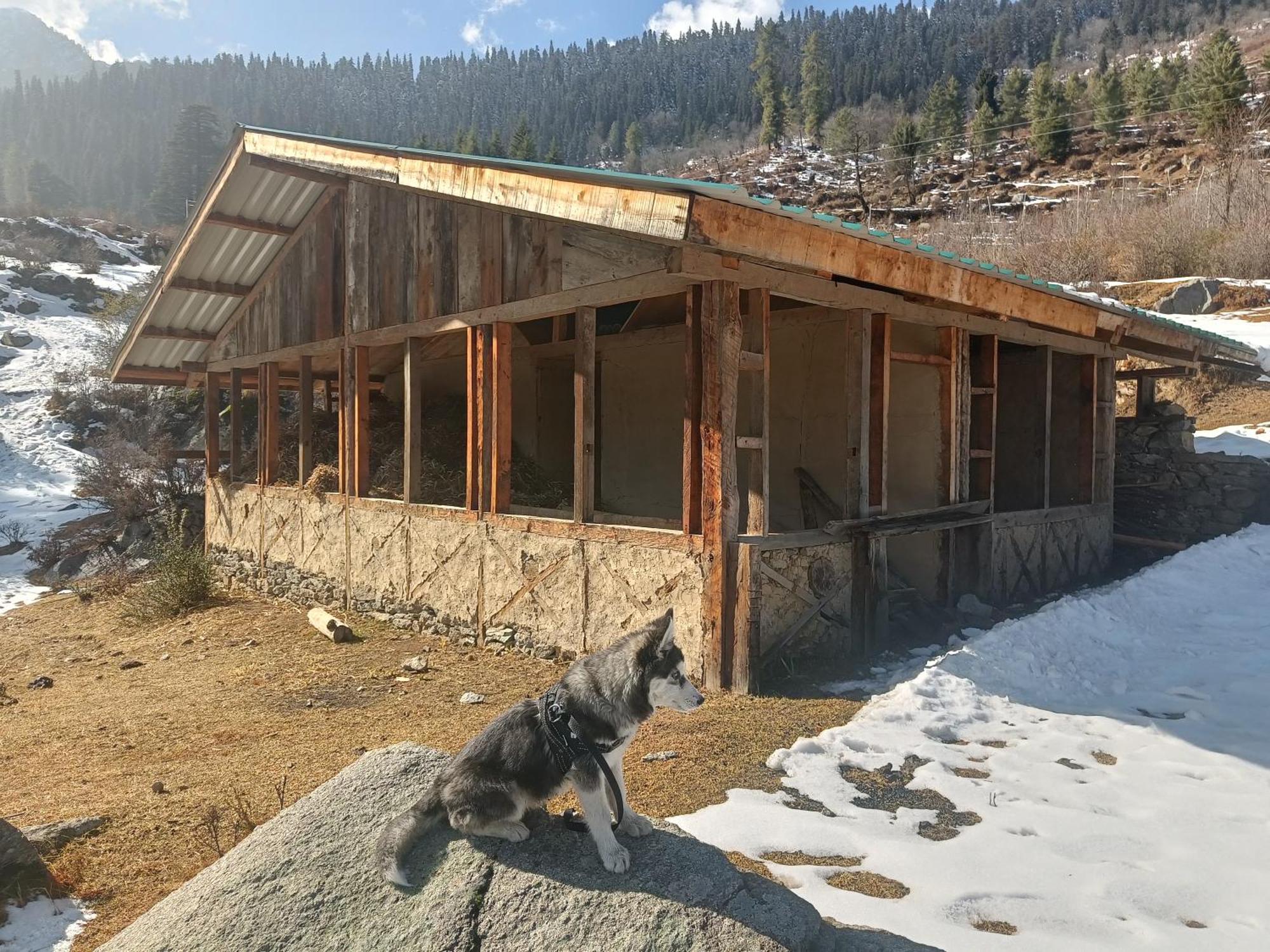 Banjār Trimounts-A Boutique Hotel & Wellnes Center In Tirthan Valley מראה חיצוני תמונה