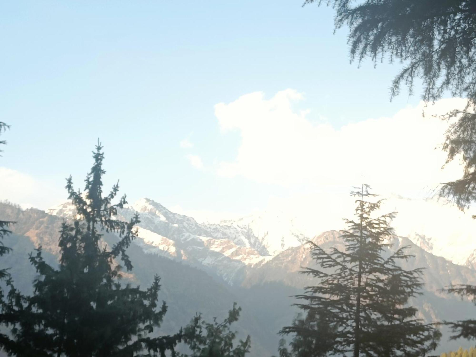Banjār Trimounts-A Boutique Hotel & Wellnes Center In Tirthan Valley מראה חיצוני תמונה