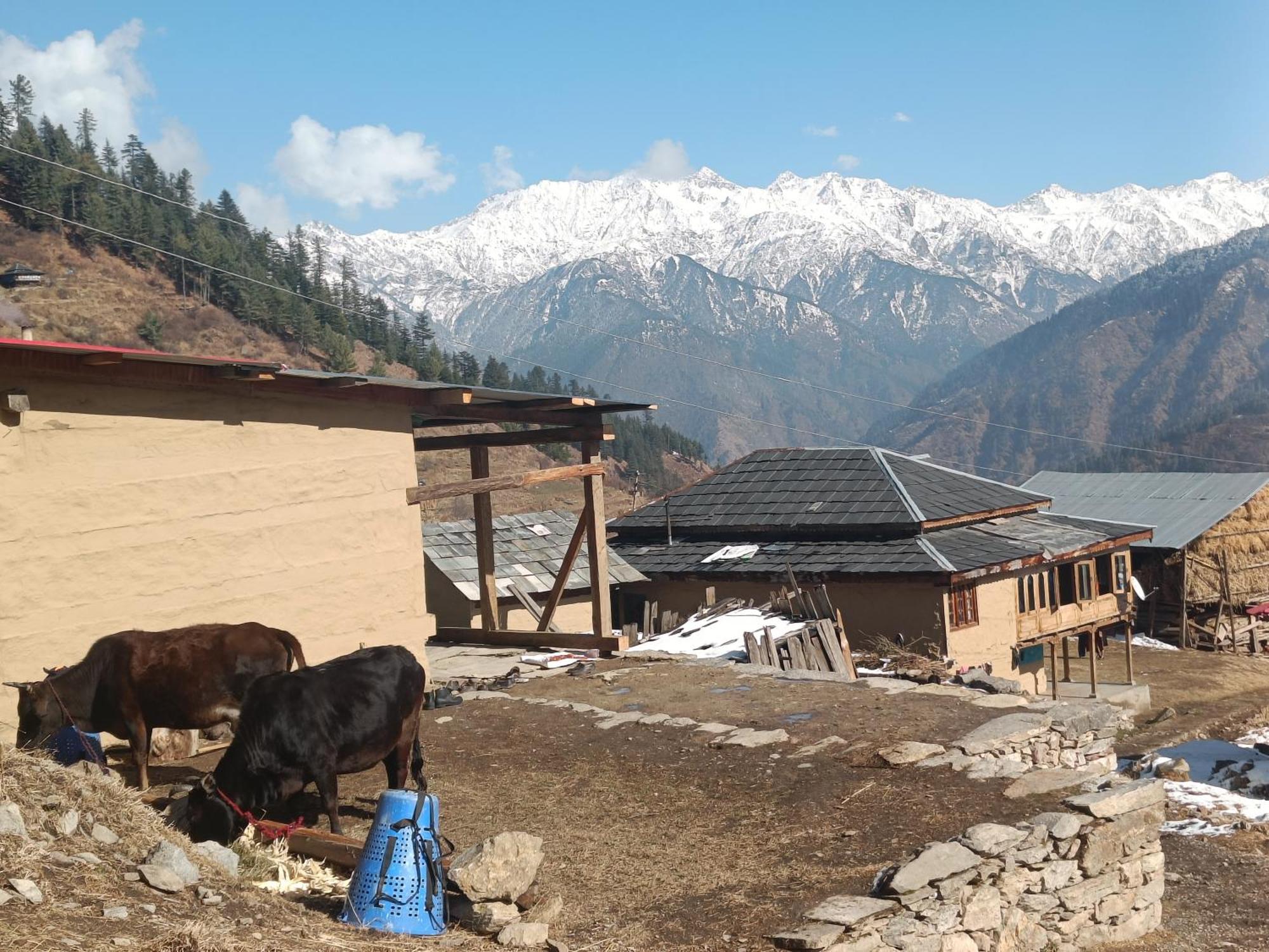 Banjār Trimounts-A Boutique Hotel & Wellnes Center In Tirthan Valley מראה חיצוני תמונה