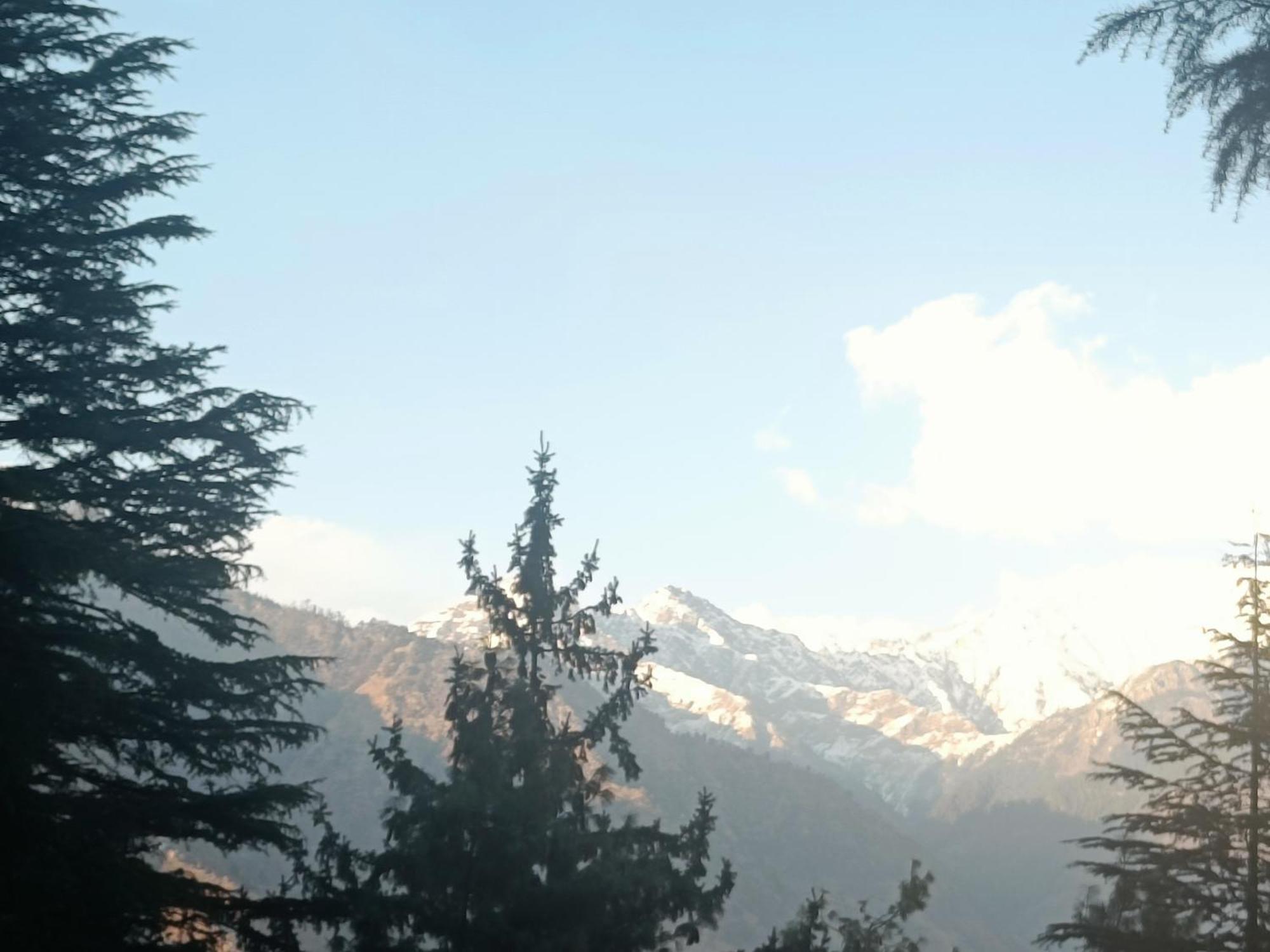 Banjār Trimounts-A Boutique Hotel & Wellnes Center In Tirthan Valley מראה חיצוני תמונה